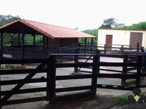 Imagem Imóvel com 5 Quartos à Venda, 21.000 m² em Condomínio Rural Quintas Da Fazendinhas - Matozinhos