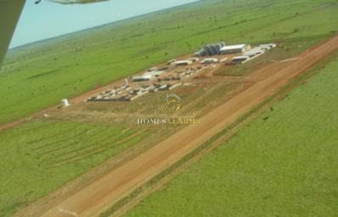 Imóvel com 4 Quartos à Venda, 103.000 m² em Zona Rural - Porto Alegre Do Norte