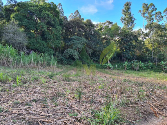 Imagem Chácara com 2 Quartos à Venda, 55.000 m² em Piracaia - Piracaia Imagem Chácara com 2 Quartos à Venda, 55.000 m² em Piracaia - Piracaia