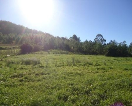 Imagem Terreno à Venda, 5 m² em Linha Nova - Linha Nova Imagem Terreno à Venda, 5 m² em Linha Nova - Linha Nova