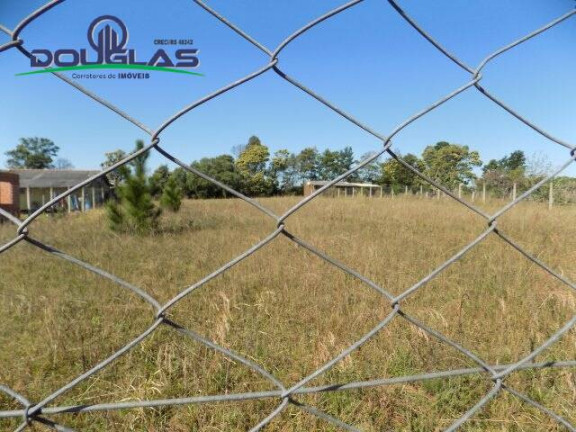Imagem Terreno à Venda, 1.200 m² em Viamão Imagem Terreno à Venda, 1.200 m² em Viamão