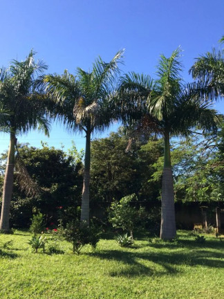 Imagem Imóvel com 2 Quartos à Venda, 350 m² em Araçoiaba Da Serra - Araçoiaba Da Serra Imagem Imóvel com 2 Quartos à Venda, 350 m² em Araçoiaba Da Serra - Araçoiaba Da Serra