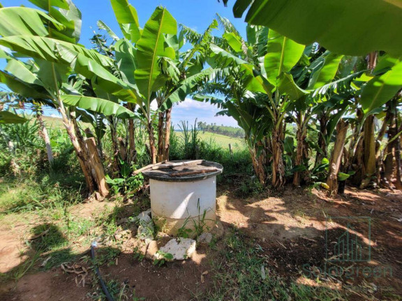 Imagem Chácara com 4 Quartos à Venda, 90 m² em Recanto Bosque - Socorro