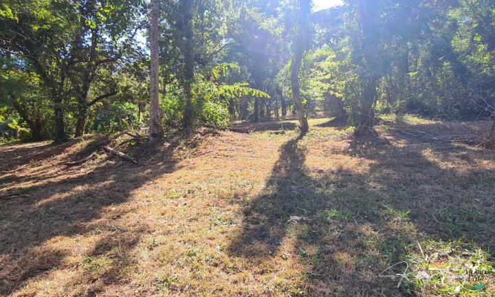 Imagem Terreno à Venda, 2.030 m² em Residencial Aldeia Do Vale - Goiânia Imagem Terreno à Venda, 2.030 m² em Residencial Aldeia Do Vale - Goiânia