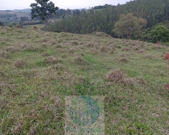 Imagem Imóvel com 3 Quartos à Venda, 270.000 m² em Pinhal - Jacuí Imagem Imóvel com 3 Quartos à Venda, 270.000 m² em Pinhal - Jacuí