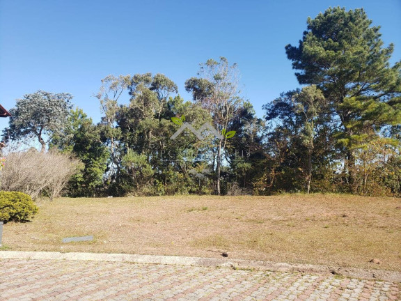 Imagem Terreno à Venda, 250 m² em Atalaia - Campos Do Jordão Imagem Terreno à Venda, 250 m² em Atalaia - Campos Do Jordão