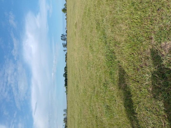Imagem Chácara à Venda, 480 m² em Centro - Carapebus Imagem Chácara à Venda, 480 m² em Centro - Carapebus