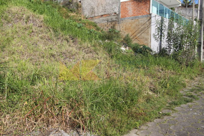 Imagem Imóvel à Venda, 454 m² em Velha - Blumenau