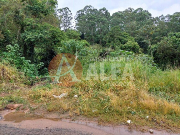 Terreno à Venda, 536 m² em Centro - Cotia