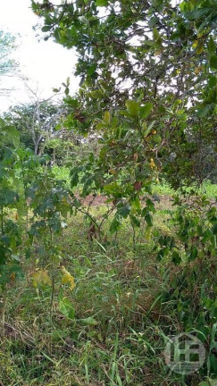 Imagem Chácara com 3 Quartos à Venda, 88.699 m² em Aldeia - Camaragibe