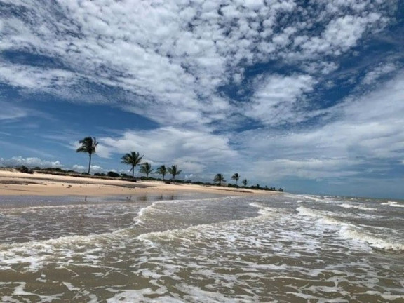 Ponto Comercial à Venda, 4.000 m² em Praia Da Barra - Alcobaça