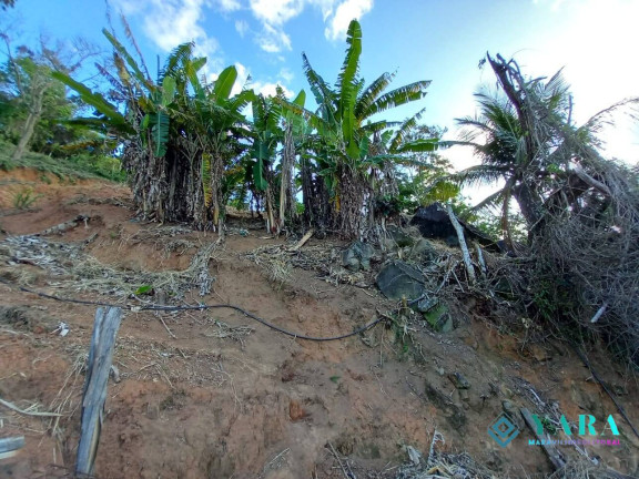 Imagem Terreno à Venda, 4.275 m² em Praia Grande - Ilhabela Imagem Terreno à Venda, 4.275 m² em Praia Grande - Ilhabela