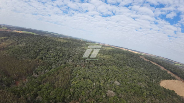 Imagem Fazenda à Venda,  em Zona Rural - Ibema