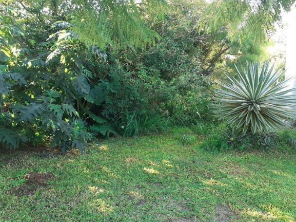 Imagem Terreno à Venda, 485 m² em Ipanema - Porto Alegre Imagem Terreno à Venda, 485 m² em Ipanema - Porto Alegre