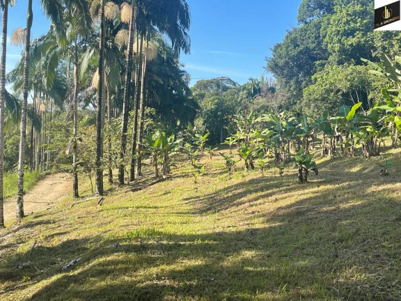 Imagem Imóvel à Venda, 20.000 m² em Zona Rural - Morretes Imagem Imóvel à Venda, 20.000 m² em Zona Rural - Morretes