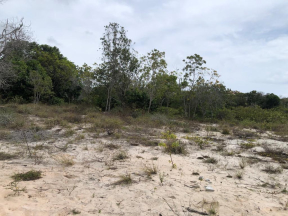 Imagem Terreno à Venda, 700 m² em Praia Do Forte - Mata De São João Imagem Terreno à Venda, 700 m² em Praia Do Forte - Mata De São João
