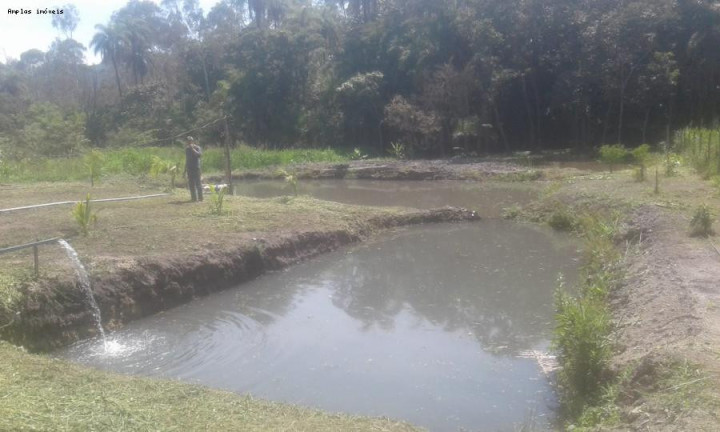 Imagem Chácara com 3 Quartos à Venda, 90 m² em Azurita - Mateus Leme