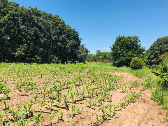 Imagem Terreno à Venda, 253.072 m² em Zona Rural - Araçoiaba Da Serra Imagem Terreno à Venda, 253.072 m² em Zona Rural - Araçoiaba Da Serra