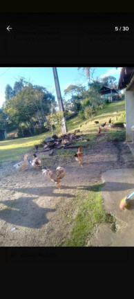Imagem Imóvel à Venda, 42.500 m² em Matulao - Tijucas Do Sul