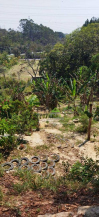 Imagem Casa com 4 Quartos à Venda, 1 m² em Parque Das Rosas - Cotia