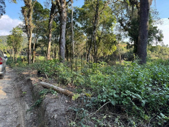 Imagem Terreno à Venda, 1.000 m² em Verava - Ibiúna