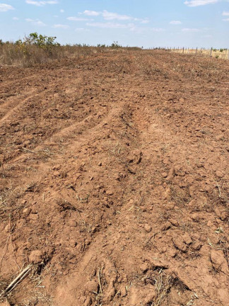 Imagem Fazenda à Venda,  em Novo São Joaquim