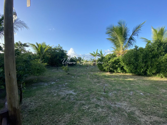 Imagem Casa com 4 Quartos à Venda, 300 m² em Praia Do Forte - Mata De São João Imagem Casa com 4 Quartos à Venda, 300 m² em Praia Do Forte - Mata De São João