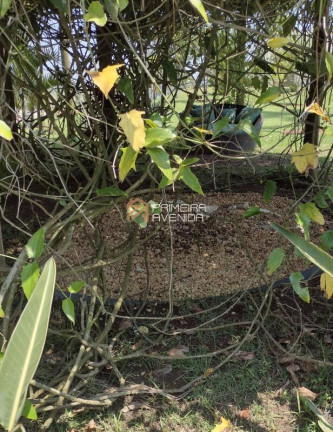 Imagem Terreno em Condomínio à Venda, 1 m² em Torrão De Ouro Ii - São José Dos Campos Imagem Terreno em Condomínio à Venda, 1 m² em Torrão De Ouro Ii - São José Dos Campos