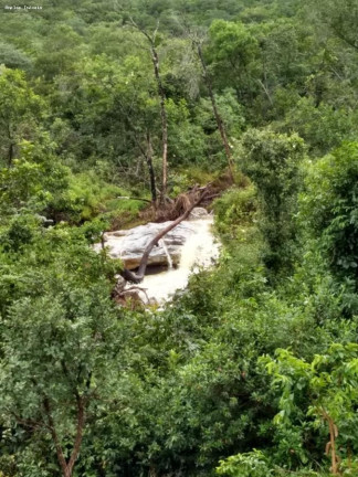Imagem Fazenda à Venda, 164 m² em Monjolos área Rural - Monjolos Imagem Fazenda à Venda, 164 m² em Monjolos área Rural - Monjolos