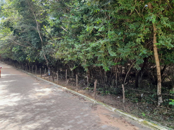 Imagem Terreno à Venda, 3.374 m² em Imediações Do Anel Viário De Pipa - Tibau Do Sul Imagem Terreno à Venda, 3.374 m² em Imediações Do Anel Viário De Pipa - Tibau Do Sul