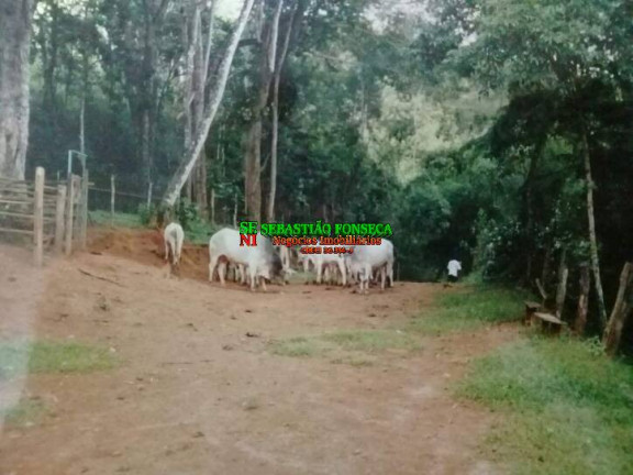 Chácara com 4 Quartos à Venda, 3 m² em São Francisco Xavier - São José Dos Campos