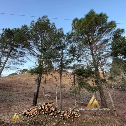 Imagem Terreno à Venda, 1.040 m² em Vale Encantado - Campos Do Jordão Imagem Terreno à Venda, 1.040 m² em Vale Encantado - Campos Do Jordão