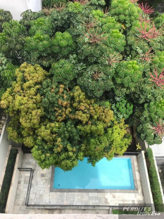 Imagem Apartamento com 1 Quarto para Alugar, 45 m² em Higienópolis - São Paulo Imagem Apartamento com 1 Quarto para Alugar, 45 m² em Higienópolis - São Paulo