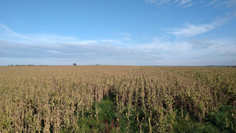 Imagem Fazenda à Venda, 54 m² em Itai - Itaí Imagem Fazenda à Venda, 54 m² em Itai - Itaí