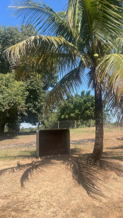 Imagem Imóvel com 3 Quartos à Venda, 45.000 m² em Rio Verde - Bauru