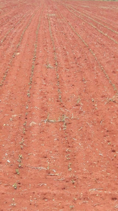 Imagem Terreno à Venda, 328.000 m² em Parque Frezarin - Santa Bárbara D'oeste