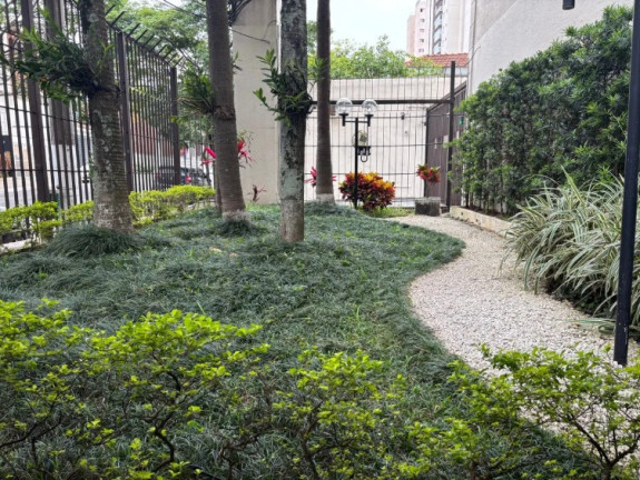 Imagem Apartamento com 3 Quartos à Venda, 72 m² em Chácara Inglesa - São Paulo Imagem Apartamento com 3 Quartos à Venda, 72 m² em Chácara Inglesa - São Paulo