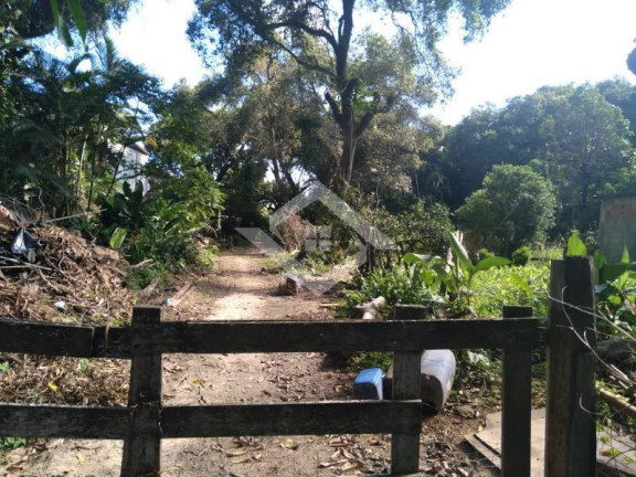 Terreno à Venda, 10.000 m² em Guaratiba - Rio De Janeiro