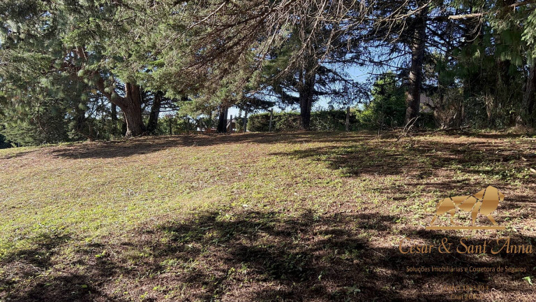 Imagem Terreno à Venda, 1.166 m² em Alto Da Vila Inglesa - Campos Do Jordão Imagem Terreno à Venda, 1.166 m² em Alto Da Vila Inglesa - Campos Do Jordão