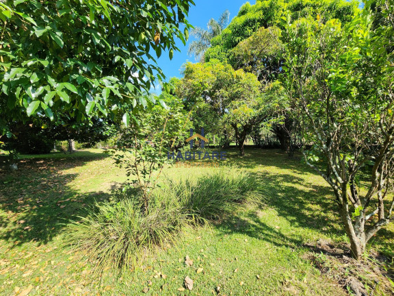 Imagem Terreno à Venda, 1.200 m² em Quintas Da Jangada - Sarzedo Imagem Terreno à Venda, 1.200 m² em Quintas Da Jangada - Sarzedo