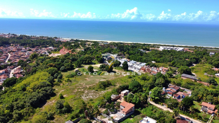 Imagem Terreno à Venda, 65.057 m² em Santa Cruz Cabrália - Santa Cruz Cabrália Imagem Terreno à Venda, 65.057 m² em Santa Cruz Cabrália - Santa Cruz Cabrália