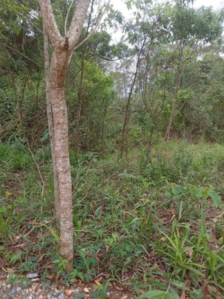 Imagem Terreno à Venda, 1 m² em Rio Acima - Mairiporã Imagem Terreno à Venda, 1 m² em Rio Acima - Mairiporã