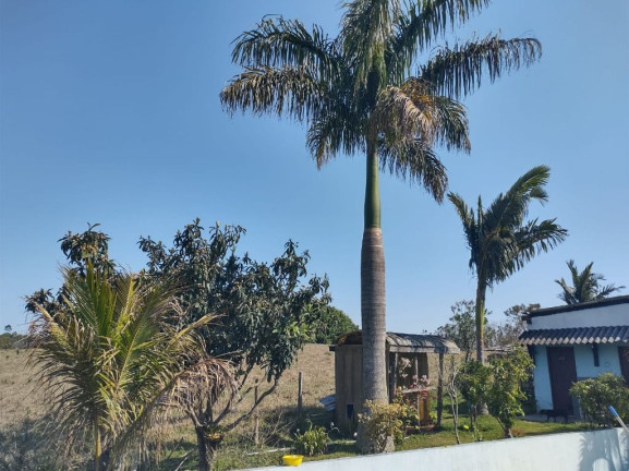 Imagem Chácara com 3 Quartos à Venda, 5.800 m² em Taiacupeba - Mogi Das Cruzes Imagem Chácara com 3 Quartos à Venda, 5.800 m² em Taiacupeba - Mogi Das Cruzes