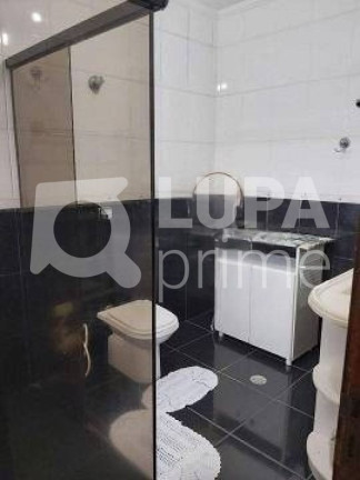Imagem Casa com 3 Quartos à Venda, 450 m² em Vila Constança - São Paulo Imagem Casa com 3 Quartos à Venda, 450 m² em Vila Constança - São Paulo