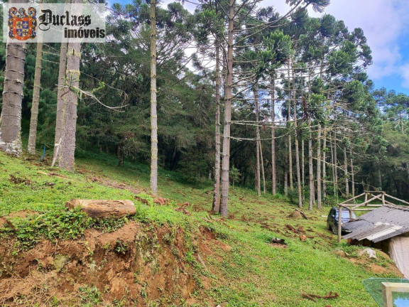 Imagem Chácara à Venda, 60.500 m² em Bom Jardim - Camanducaia Imagem Chácara à Venda, 60.500 m² em Bom Jardim - Camanducaia