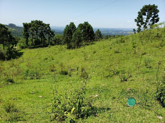 Imagem Imóvel à Venda, em Zona Rural - Bom Retiro Imagem Imóvel à Venda, em Zona Rural - Bom Retiro