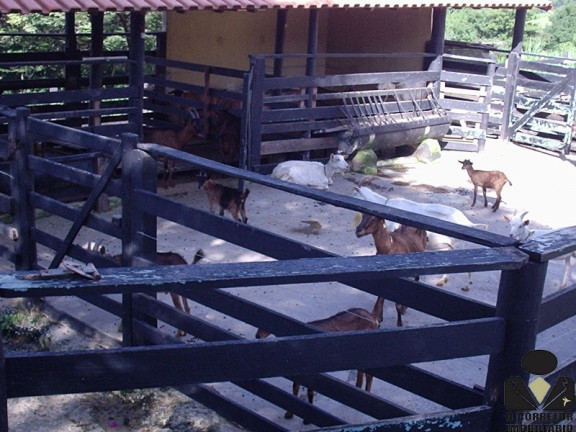Imagem Imóvel com 5 Quartos à Venda, 21.000 m² em Condomínio Rural Quintas Da Fazendinhas - Matozinhos
