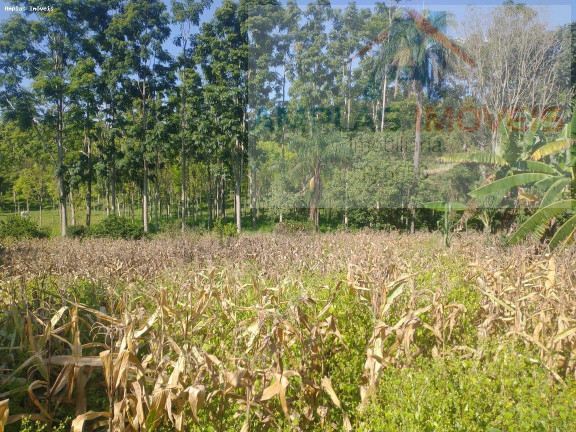 Imagem Imóvel com 2 Quartos à Venda, 15.000 m² em Freitas Serra Azul - Mateus Leme