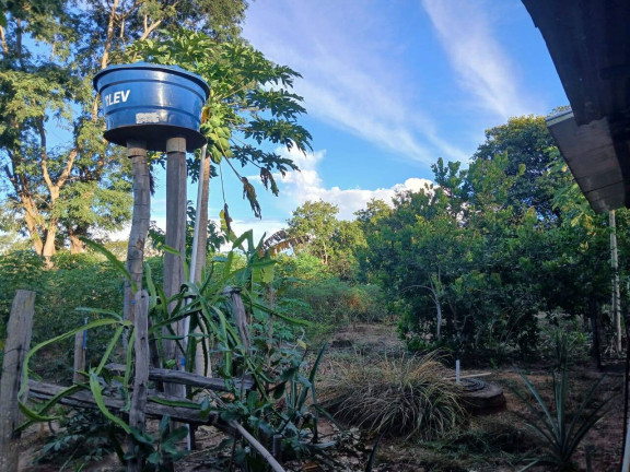 Imagem Chácara à Venda, 35 m² em Arapongas