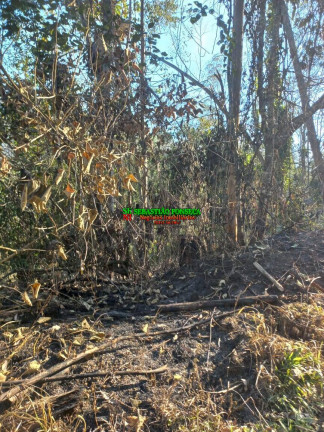 Imagem Chácara à Venda, 20.000 m² em Centro - Monteiro Lobato Imagem Chácara à Venda, 20.000 m² em Centro - Monteiro Lobato